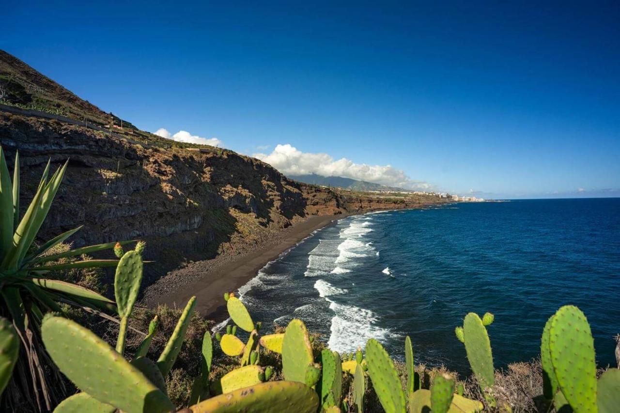 Dragos Del Mar , Espacio Natural La Orotava Luaran gambar